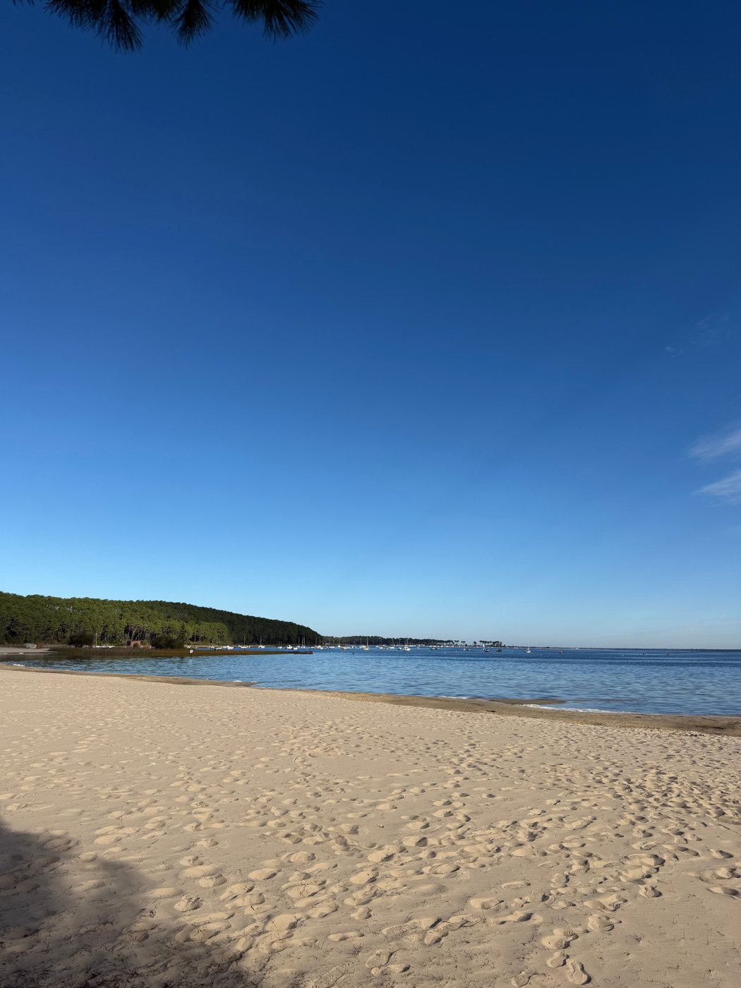 La plage du lac de Carcans, sable blond et pins au loin